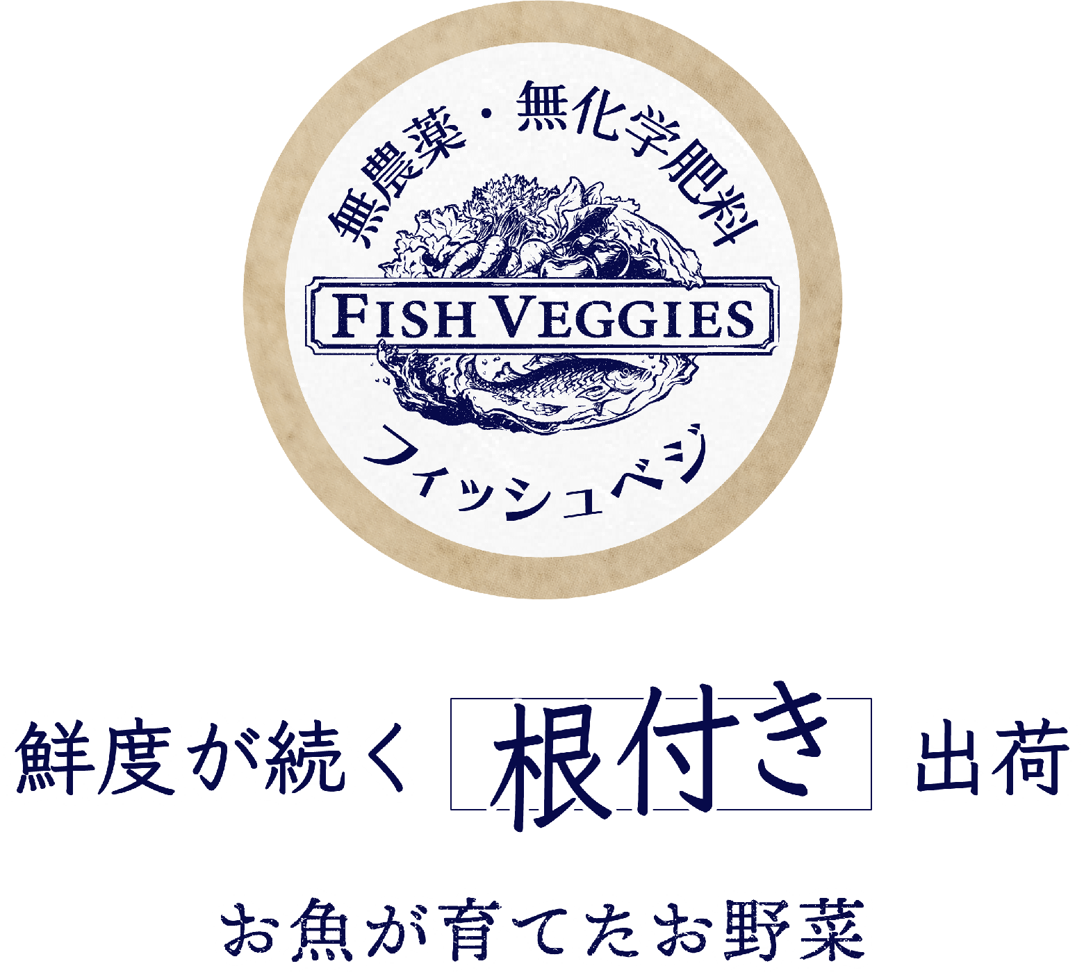 FISH VEGGIES -鮮度が続く根付き出荷 お魚が育てたお野菜-